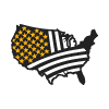 icon_SERVING-ACROSS-50-US-STATES